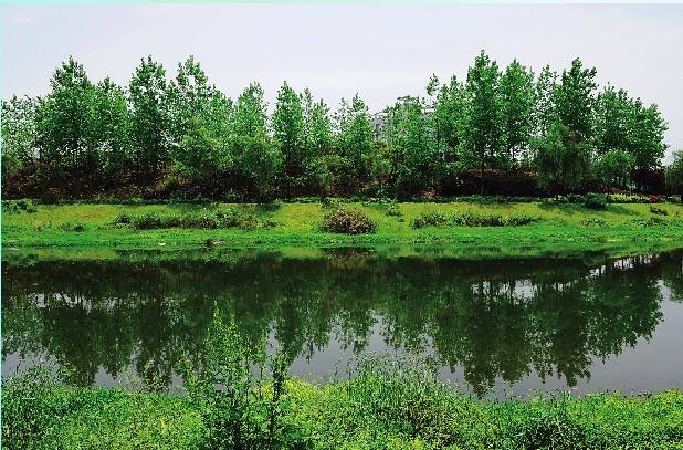  小微型水質(zhì)監(jiān)測(cè)站如何選用水質(zhì)自動(dòng)采樣器？