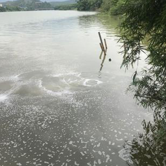  為什么企業(yè)污水在線監(jiān)控要測(cè)COD和氨氮